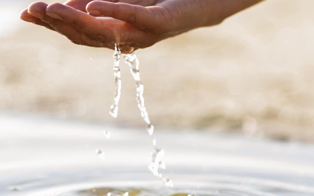 Orfesa: Innovación y Compromiso con el Ahorro de Agua y la Sostenibilidad.